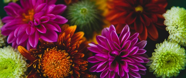 德天空：利物浦不会放弃引进伊萨克